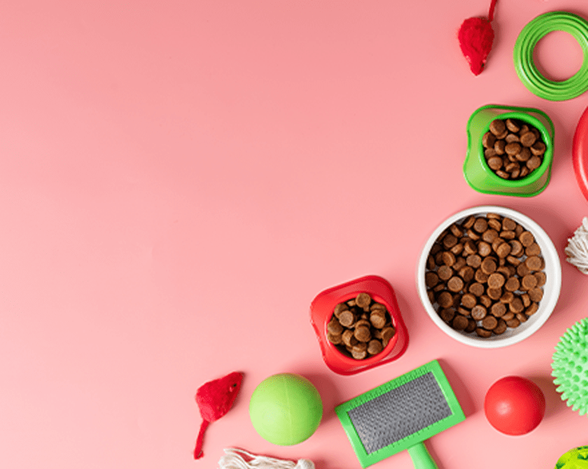 dog foods