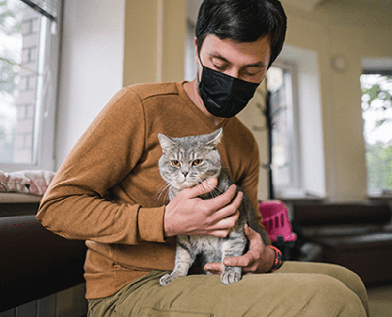 man with a facemask is holding cat in his lap