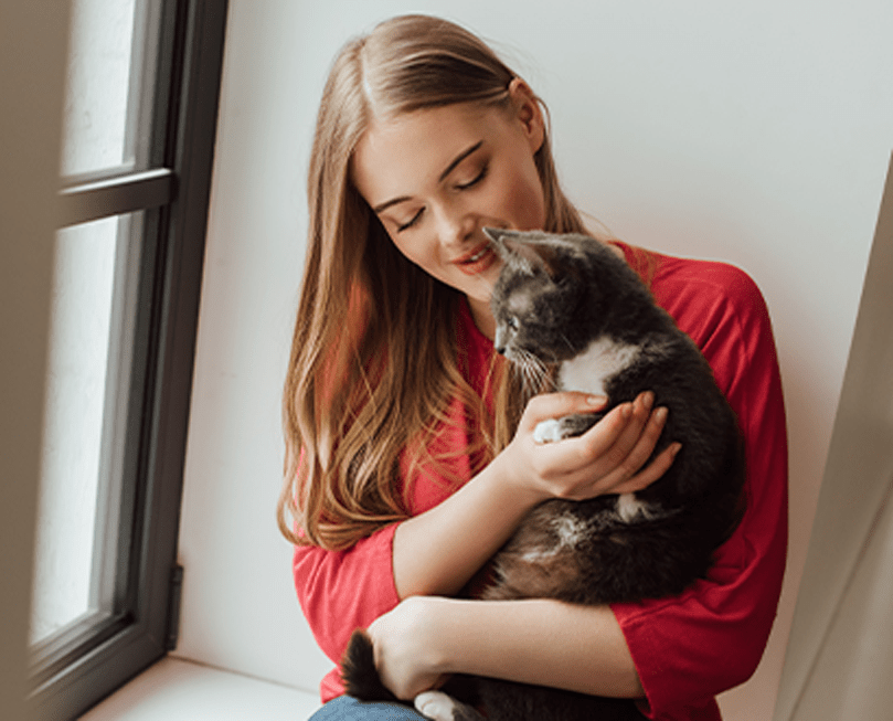 cat in your side the the best companion