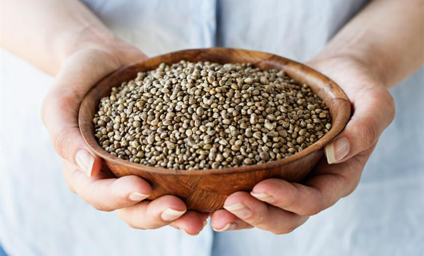 hand holding a bowl of hemp seeds