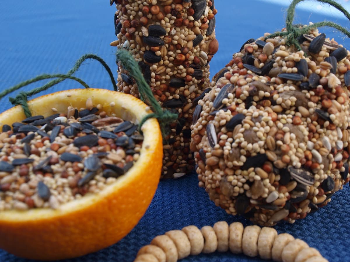 eco friendly biodegradable bird feeders