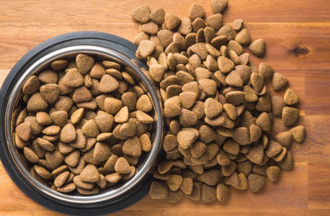 pet food