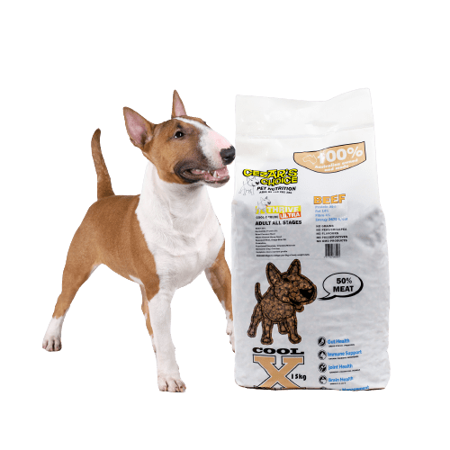 Cezar's Ultra Grain Free Beef Adult 12kg