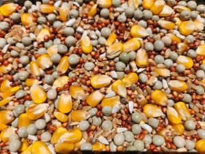 Racing Pigeon Light Mix 15kg