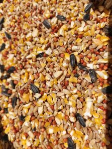 Pullet Mash 20kg