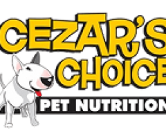 ceazar logo
